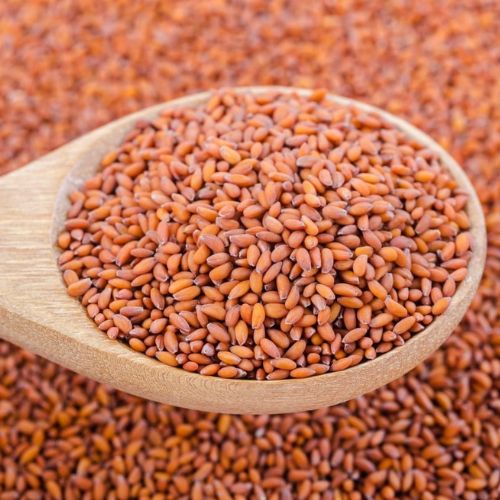 Halim Seeds
