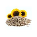 Sunflower Seeds