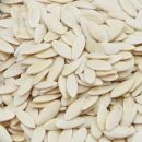 Cucumber Seeds