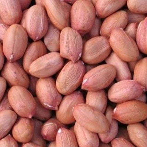 Groundnut Raw